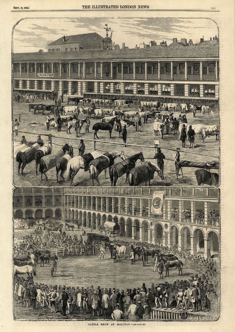 Cattle show at Halifax. Yorkshire. Cows 1859 old antique vintage print picture